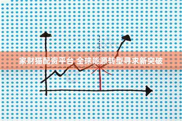 家财猫配资平台 全球能源转型寻求新突破
