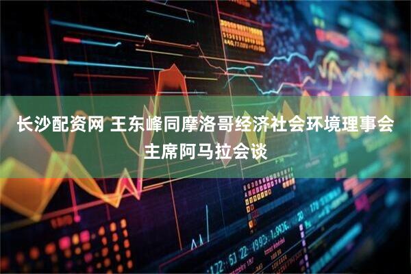 长沙配资网 王东峰同摩洛哥经济社会环境理事会主席阿马拉会谈