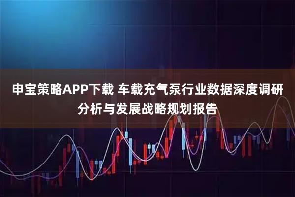 申宝策略APP下载 车载充气泵行业数据深度调研分析与发展战略规划报告
