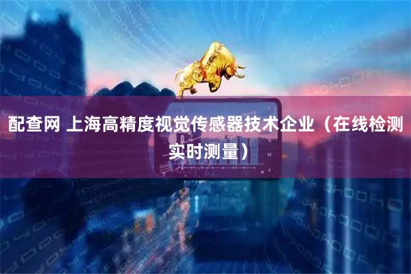 配查网 上海高精度视觉传感器技术企业（在线检测 实时测量）
