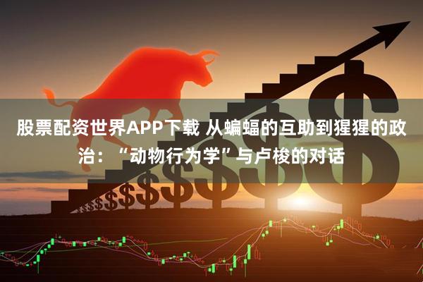 股票配资世界APP下载 从蝙蝠的互助到猩猩的政治：“动物行为学”与卢梭的对话